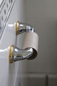 toilet-paper-roll
